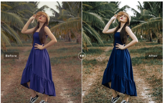 [DesignBundles] Wasabi Mobile & Desktop Lightroom _0.png